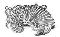 Nautilus 16th Century Poster Print showcasing intricate marine life art.