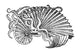 Nautilus 16th Century Poster Print showcasing intricate marine life art.