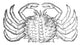 Sea Crab 16th Century Poster Print showcasing detailed marine life.