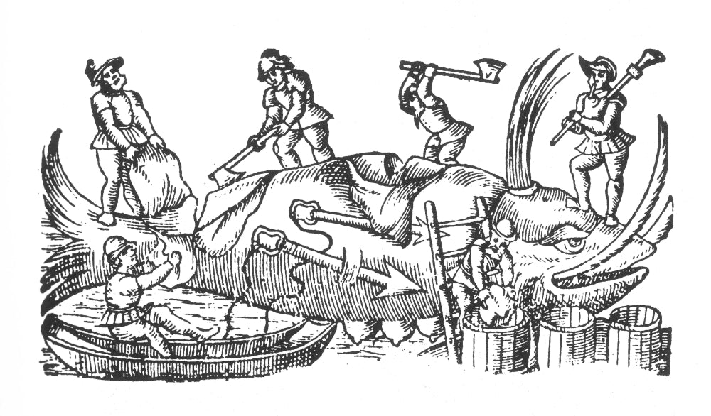 Whaling in the 16th Century Poster Print showcasing maritime history.
