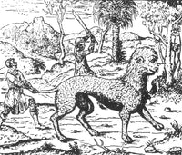Huspalim Legendary Creature Poster Print featuring mythical art.