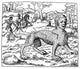 Thanacth Legendary Creature Poster Print by Science Source