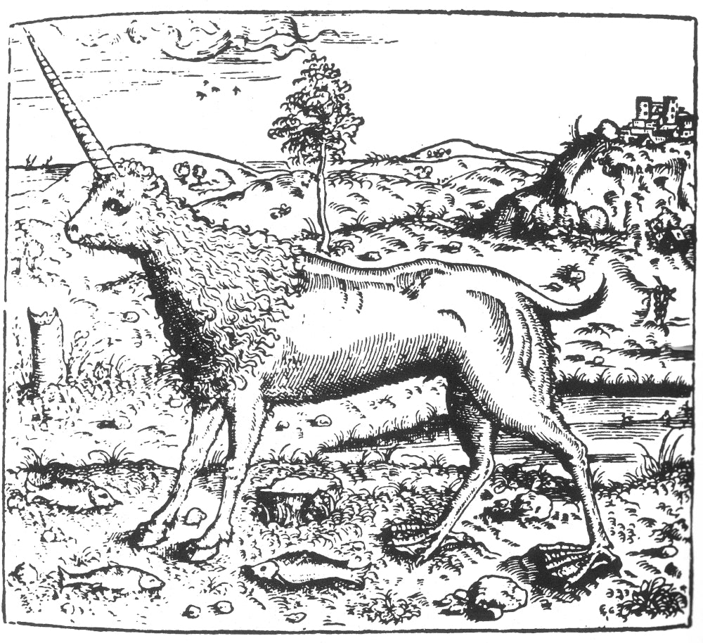 Camphurch Legendary Creature 16th Century Poster Print