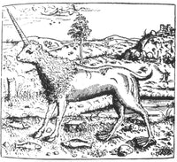 Camphurch Legendary Creature 16th Century Poster Print