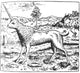 Camphurch Legendary Creature 16th Century Poster Print