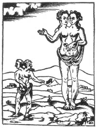 Double Monster Conjoined Twins 16th Century Poster Print on premium paper.
