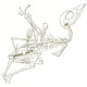 Pterodactyl Fossil Poster Print showcasing a detailed fossil illustration.