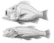 Cretaceous Fishes Poster Print showcasing prehistoric marine life.