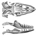 Monitor Lizard Skull Poster Print featuring detailed artwork.
