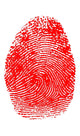 Thumbprint Poster Print by Science Source showcasing unique fingerprint patterns.