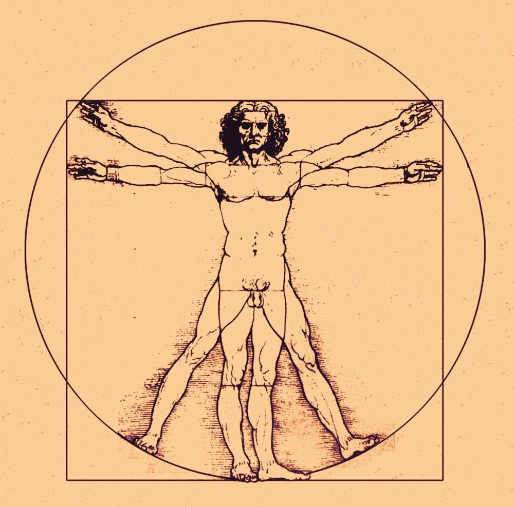 Human Body Poster Print by Science Source showcasing detailed anatomy.