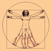 Human Body Poster Print by Science Source showcasing detailed anatomy.