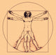 Human Body Poster Print by Science Source showcasing detailed anatomy.