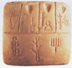 Mesopotamian Accounting Document Poster Print showcasing ancient record-keeping.