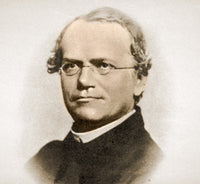 http://c328301.r1.cf1.rackcdn.com/SCIBE7754.jpg