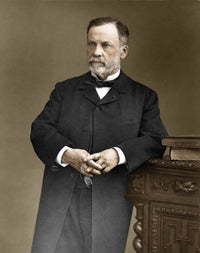 Louis Pasteur Poster Print - French Chemist and Bacteriologist