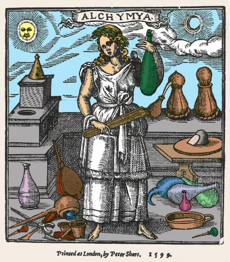 Plant Remedies Poster Print showcasing various healing plants.