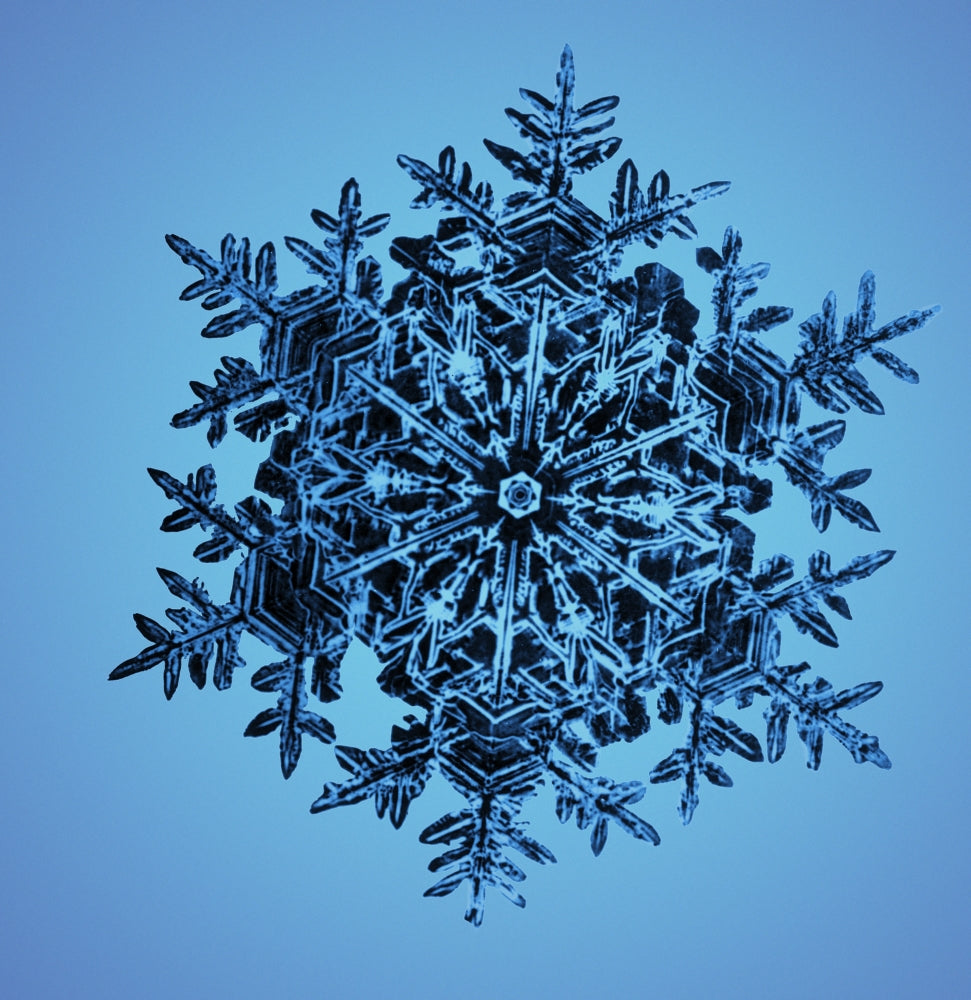 Snowflake Poster Print showcasing detailed ice crystal design.