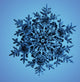 Snowflake Poster Print showcasing detailed ice crystal design.