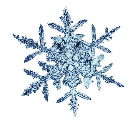 Snow Crystal Poster Print showcasing intricate snowflake designs