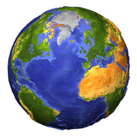 Topographic Earth Showing Vegetation Poster Print highlighting diverse landscapes.