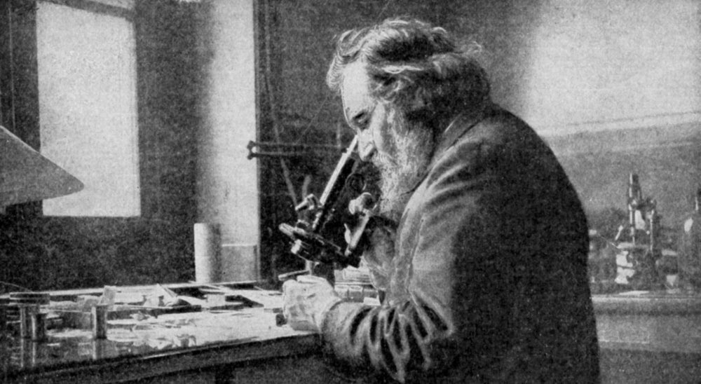 Ilya Ilyich Mechnikov Poster Print - Celebrated Russian Biologist