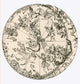 Northern Hemisphere Celestial Globe Poster Print illustrating the night sky and constellations.