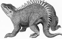 Hylaeosaurus Illustration Poster Print showcasing detailed dinosaur art.