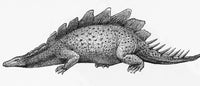 Stegosaurus Illustration Poster Print by Science Source