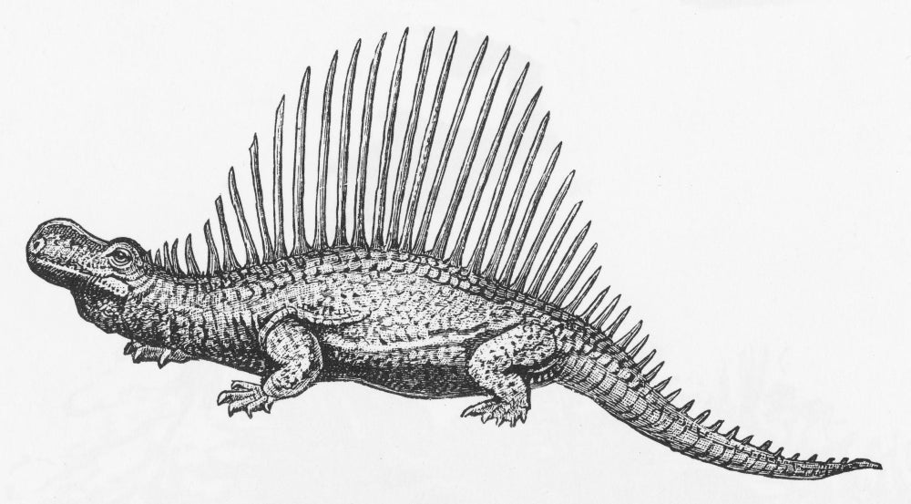 Dinosaur Illustration Poster showcasing various dinosaur species