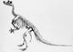 Iguanodon Mesozoic Dinosaur Poster Print showcasing vibrant colors and details.