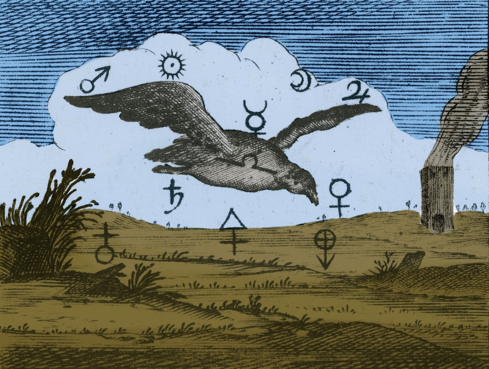 Alchemy Illustration Poster Print by Science Source, showcasing intricate designs and symbols.