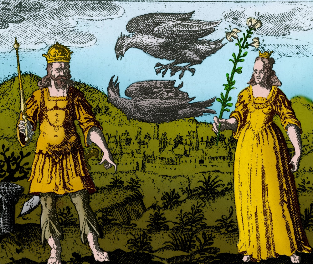 Alchemy Illustration Poster Print showcasing intricate designs celebrating the ancient art of transformation.