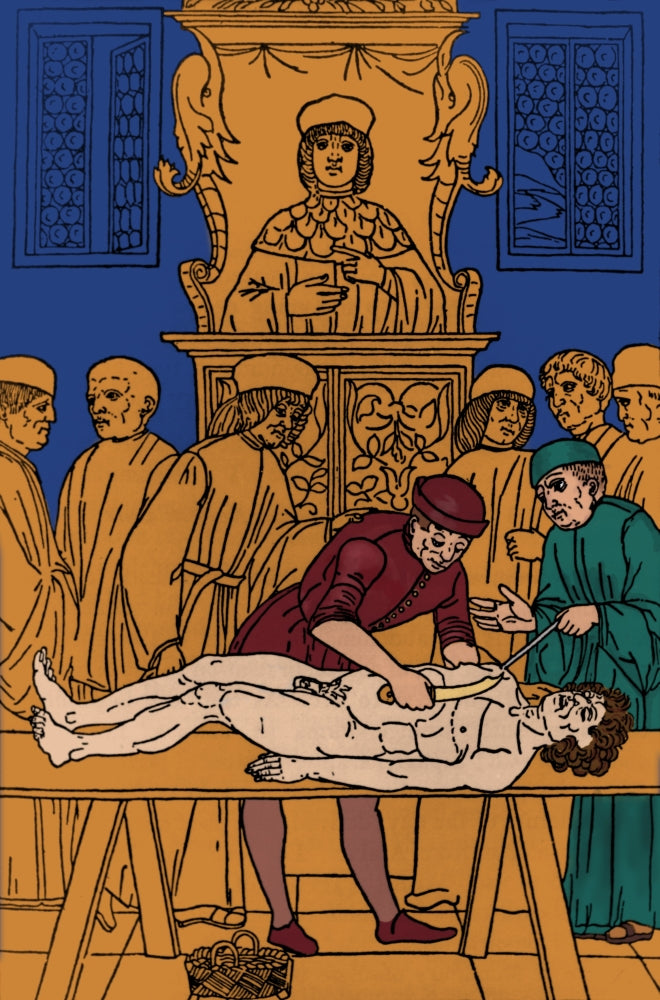 Dissection of Cadaver 1491 Fine Art Print - Historical Medical Illustration
