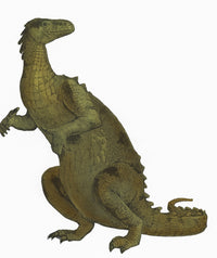 Iguanodon Mesozoic Dinosaur Poster Print showcasing a detailed dinosaur illustration.