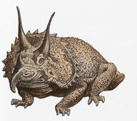 Triceratops Illustration Poster Print showcasing a detailed dinosaur design.