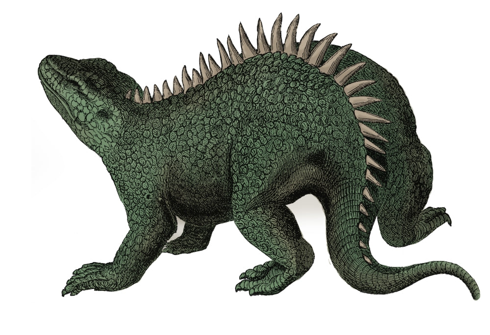 Hylaeosaurus illustration poster print showcasing the dinosaur's features.