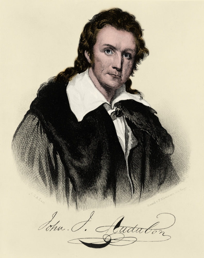 John James Audubon French-American Naturalist Poster Print