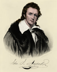 John James Audubon French-American Naturalist Poster Print
