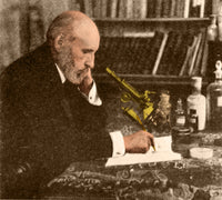 Santiago Ramón y Cajal Neuroscientist Poster Print on premium heavy stock paper.
