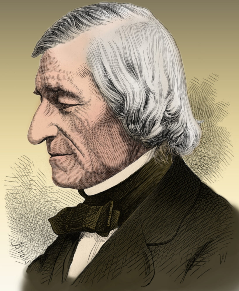 William Rogers American Geologist and Educator Poster Print