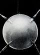 Sputnik 1 Poster Print - First Artificial Satellite launched in 1957