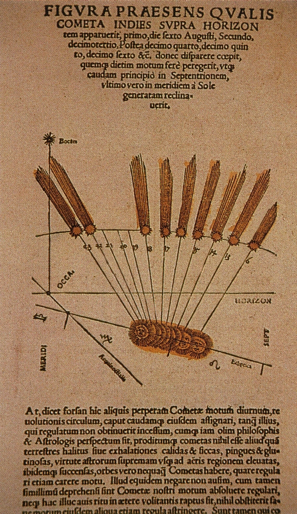 Halley's Comet 1531 Poster Print featuring celestial artwork.