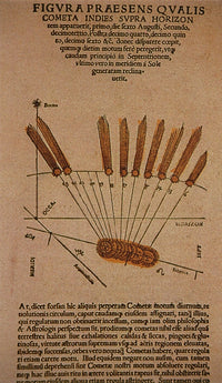 Halley's Comet 1531 Poster Print featuring celestial artwork.