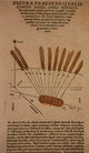 Halley's Comet 1531 Poster Print featuring celestial artwork.