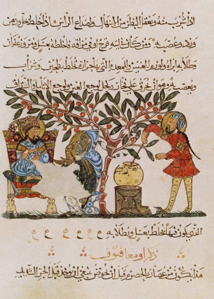 Dioscorides De Materia Medica 13th Century Poster Print
