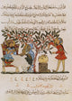 Dioscorides De Materia Medica 13th Century Poster Print
