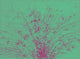 Cosmic Ray Tracks Bubble Chamber Event Poster Print