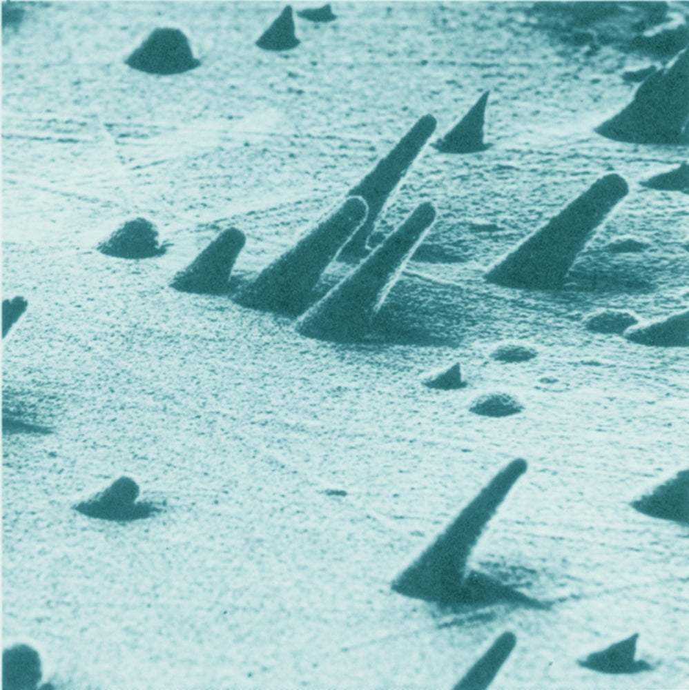 Tracks from Cosmic Rays Magnified 800 Times Poster Print