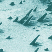 Tracks from Cosmic Rays Magnified 800 Times Poster Print